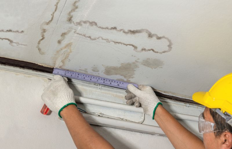 Roof Water Leak Detection