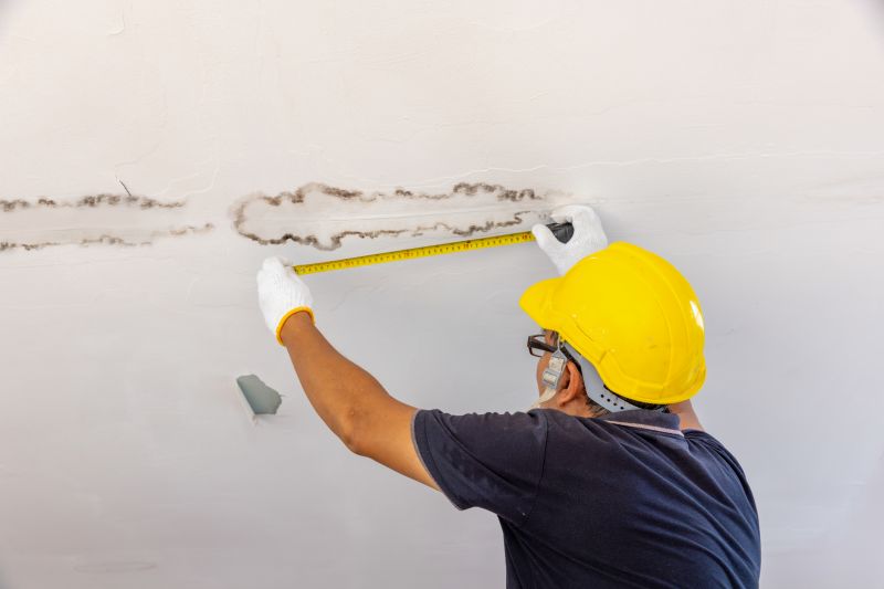 Roof Water Leak Detection
