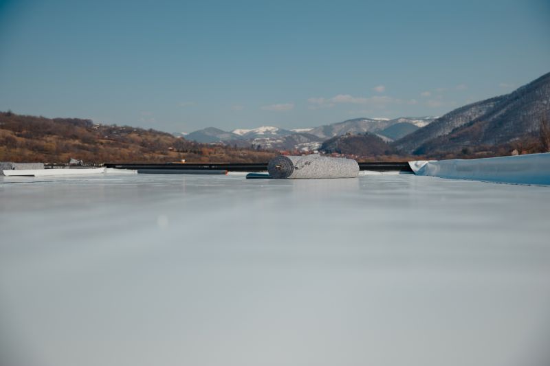 Tpo Roof Coating Service